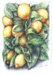 Lemons